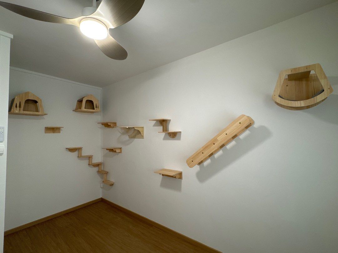 Wall-mounted cat play platforms and climbing system installed by The Good Guys Singapore.